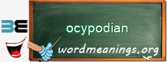 WordMeaning blackboard for ocypodian